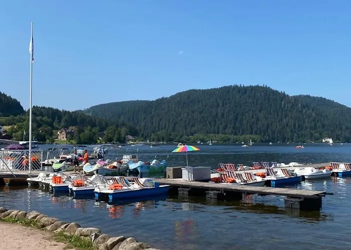 1er Etage Au Coteau Des Xette Villa Gérardmer